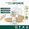 Loofah Sponge Alami Ramah Lingkungan