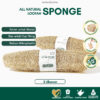 Loofah Sponge Alami Ramah Lingkungan
