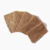 Coconut Scrub 4
