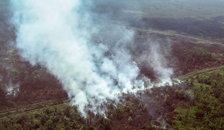 kebakaran hutan indonesia
