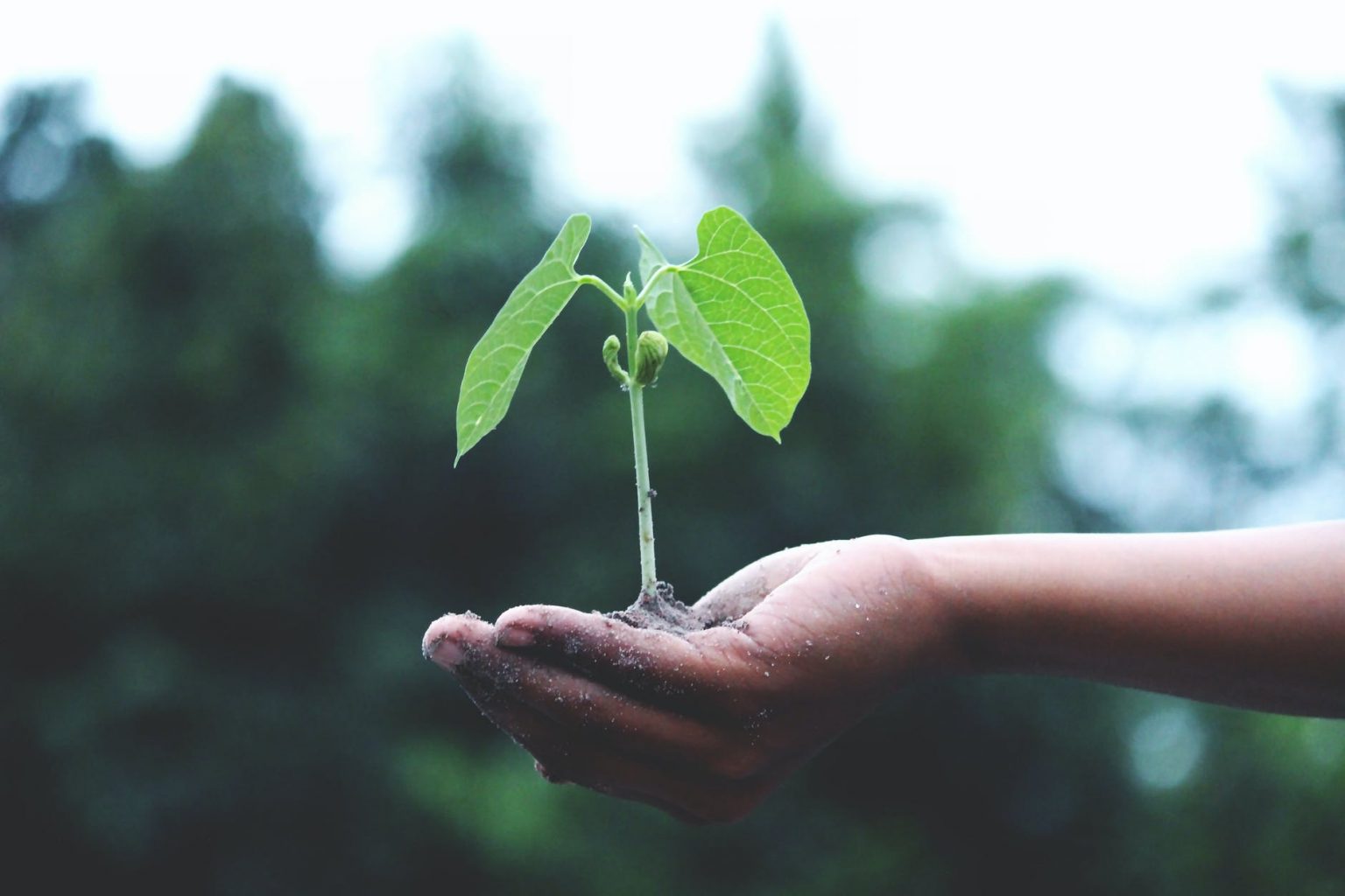 Jakarta Kekurangan Air Bersih Inilah Penyebabnya Sustaination 1597