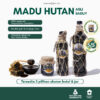 1-Marketplace-Madu-Hitam-Hutan-Baduy-V3