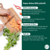 2-MarketPlace-Cover-Talenan-New-2