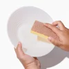 Natural Sponge 6 (1)